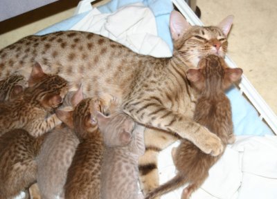 I give mom a kiss instead..