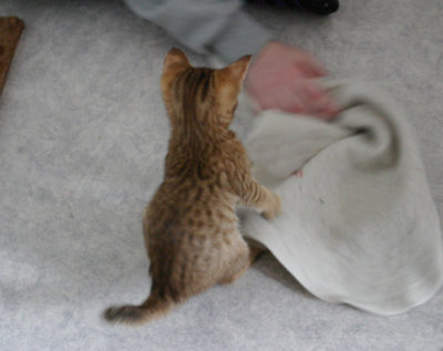 Playtime!