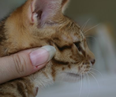 And a profile I love :)