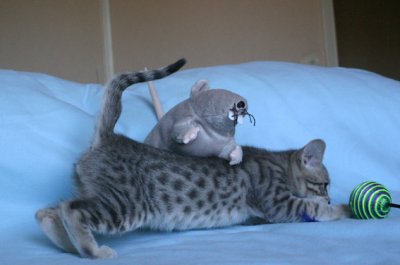 Me and my rat :)