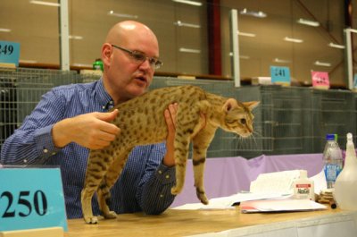 Jasper at saturdays judge Glenn Sjbom