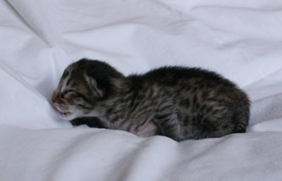 3 days old :)