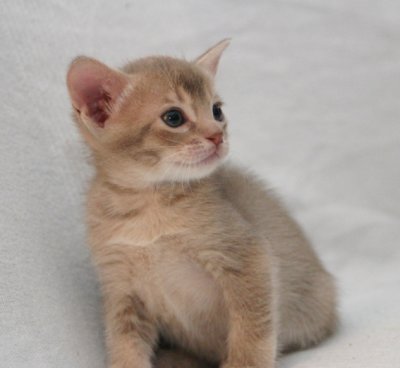 And is of course a real snuggler :)