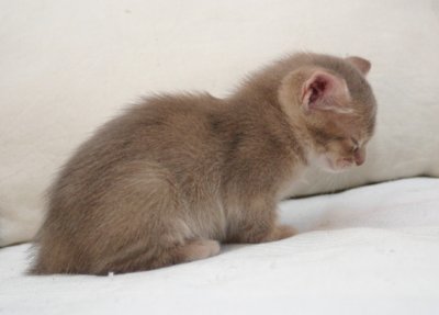 But I will nooot faal alseep..I want to play...