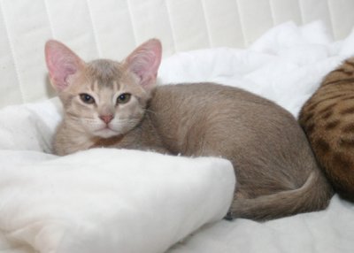 Nap time with brother