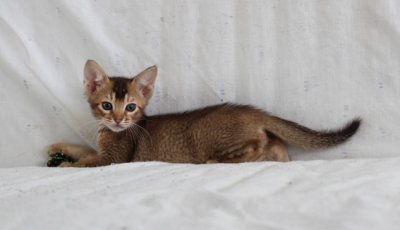 Very playful boy