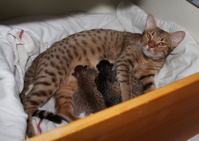 Play is a very proud mom!