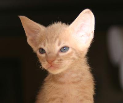 Cruel look ;)