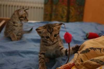 Playtime!