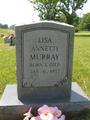 Lisa Annette Murray