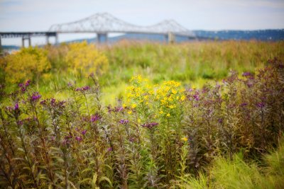 225, Tappan Zee Bridge