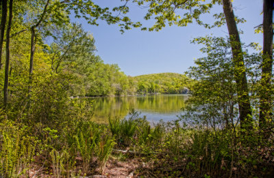 285, Long Pond Preserve, Waccabuc