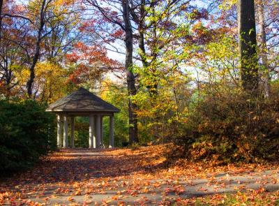 g4/95/303895/3/52244977.gazebo.jpg