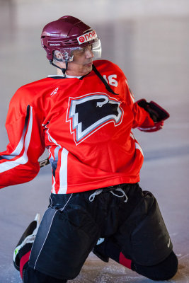 hockey_20120325