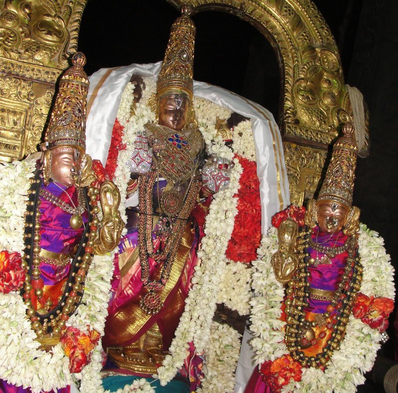 Kesava Nambi During Purappadu.JPG