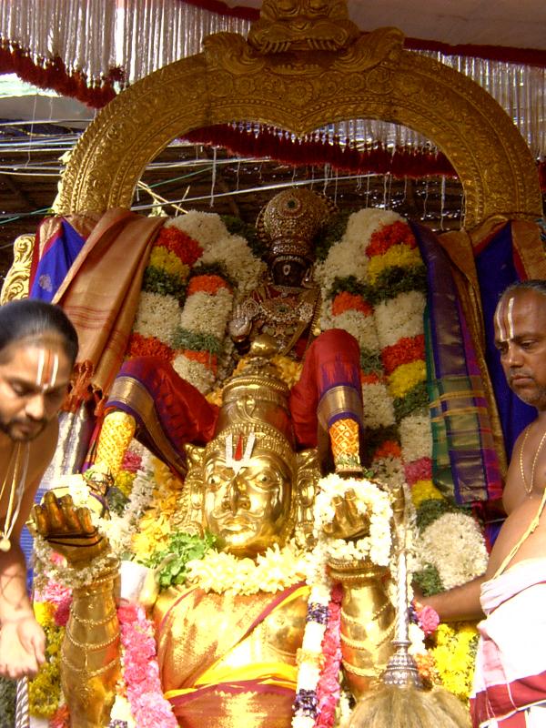 Parthasarathi in Garuda sevai.JPG