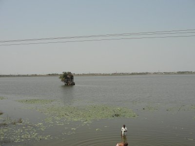Tiruninravoor Sri Ramar Sannidhi Yeari (lake).JPG