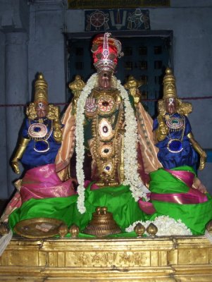 Thirupputkuzhi Sri vijayaragavap perumaal Kara Varuda Vasantha Uthsavam
