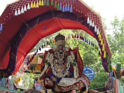 Swami  Pupapadu -8th Day.JPG