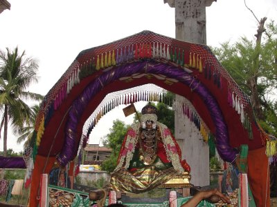 Sri Alavandar during purappadu.JPG