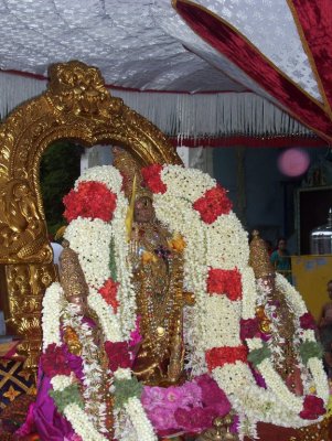 Perumal Kovil Sri Varadan Purappadu - Avani Hastham