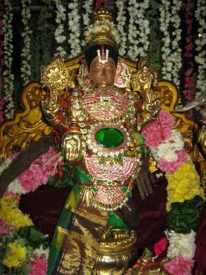 Sendraar Vanagum Sri Annan Perumal.jpg