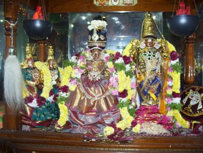 Sri Rukmani Thayar - Sri Paandava Thoothap Perumal Navarathiri Uthsavam - Thiruvankadamudayan Thirukolam