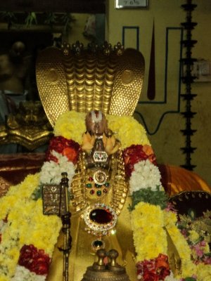 Perumal Kovil Sri Manavala Maamunigal Uthsavam - Day3