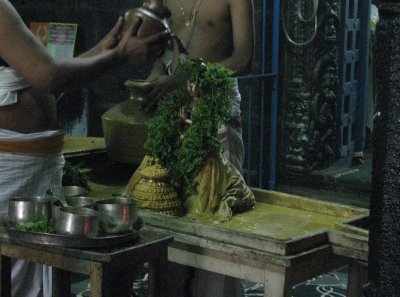 Sri Alwar Tirumanjanam with Perumal Tiruthuzhai.JPG