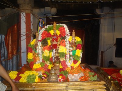 Vanabhojana utsavam dec. 2011