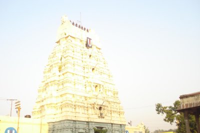 12 - Thinnanoor Raja Gopuram.JPG