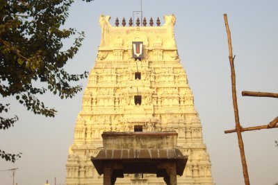13 - Thinnanoor Raja Gopuram.JPG