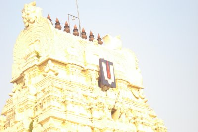 14 - Thinnanoor Rajagopuram - Close Up View.JPG