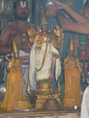 Thai AmavAsya Purappadu