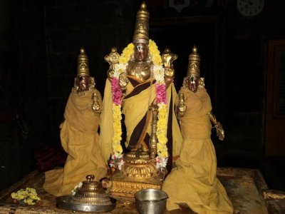 Day 8 - Afternoon - Thirupatham Jadi Thirumanjanam ( Thotti Thirummothsavam8ThDay