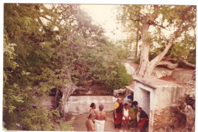 Tirupuliyaazhwar.jpg