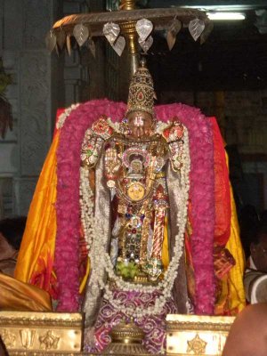 Thirunindravur Brahmothsavam Day5 - Evening yALi vAhanam