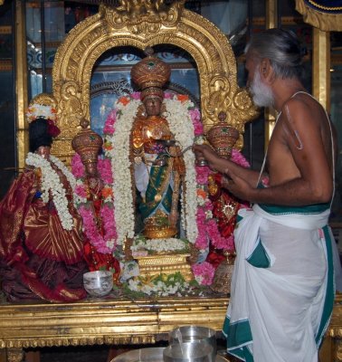  Perumal Kovil Panguni Uthiram , Kantha Podi Vasantham and Panguni Uthiram Oorkolam Purappadu