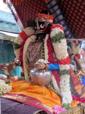  Thiruvallikeni Sri Parthasarathy Swamy Vennai Thazi Kannan Thirukolam - Thanga Pallakku Purappadu