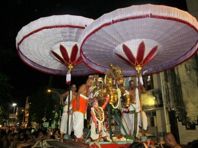 Thiruvallikeni Sri Parthasarathy Swamy - Gudhirai Vahanam - 8th day Night