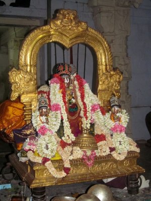  Perumala Kovil Sri Nammalwar Uthsavam - Day3