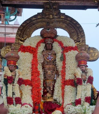  Perumala Kovil Brahmothsavam - Sri Perarulalan @ Thanga Chapparam Day1 Morning (Album1) - Part2