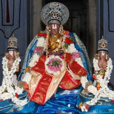 Perumal Kovil Sri Nammalwar Avathar Uthsavam - vaigasi Visagam