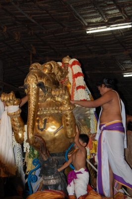 Perumal Kovil Brahmothsavam - Sri Perarulalan @ Yali vahanam