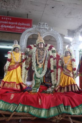 Sri Perumal during purappadu .JPG