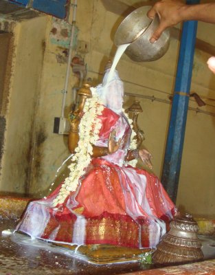 Sri Thaayar Tirumanjana Sevai-5th Day.JPG