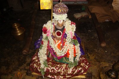 Swami after Soornautsavam.JPG