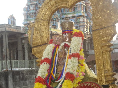 Sriperumbhoodhoor Nanadana pavitrotsava sathumurai