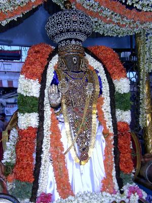 Sri Parthasarathi during Pattiulathal.JPG