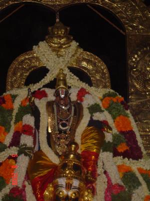 Day 5 - Nattham - Vijayasanar - Garuda Sevai - Close up.jpg